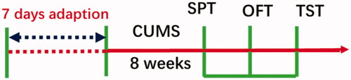 Figure 1. Experimental procedure.