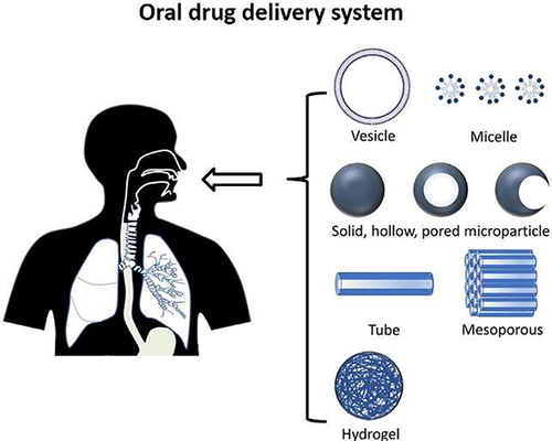 Figure 4 Illustration of diverse Nanodrug designs for oral administration: A Spectrum of Vesicle, Micelle, Solid, Hollow, Pored microparticles, Tube, Mesoporous and Hydrogel Architectures.