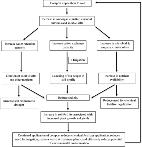 Figure 4. Cumulative of effects from compost application to soils, particularly soils affected by salinization. Adapted from Lal (Citation2006).