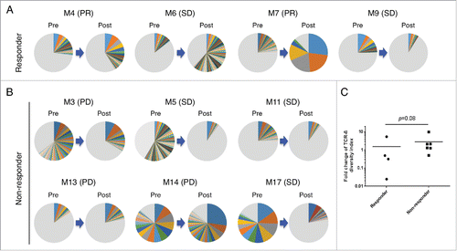 Figure 3. Nivolumab treatment-induced changes of TCR-β repertoires in tumors. Pie charts illustrate distribution of unique CDR3 sequences of TCR-β, detected in paired tumor samples of pre- and post-treatment, from responders (n = 4) (A) or non-responders (n = 6) (B). As each pie chart was separately colored according to CDR3s frequency ranks, the same color between pie charts does not represent an identical CDR3 sequence. Gray color zone indicates combined portion of all clonotypes with the frequencies of less than 0.5%. (C) Fold changes in the diversity index (DI) of TCR-β in tumors are shown according to the patient's response to nivolumab treatment. Horizontal lines represent the means, and the Mann–Whitney U test was used to examine statistical significance.