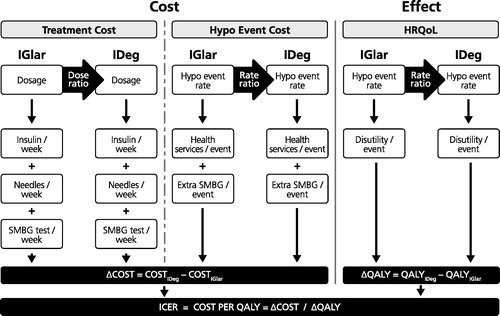 Figure 1. Model schematic. The model calculates treatment costs (including insulin, needles, and costs associated with self-monitored blood glucose [SMBG] testing) and the costs associated with hypoglycemic events (the resource utilization associated with a hypoglycemic event multiplied by the hypoglycemic event rate) for both IDeg and IGlar. QALYs are calculated by applying a disutility per hypoglycemic event to the baseline health utility for IDeg and IGlar.