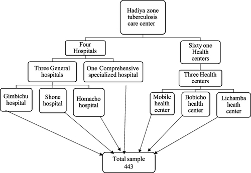 Figure 1 Cluster sampling schematic presentation of Hadiya Zone tuberculosis care center.