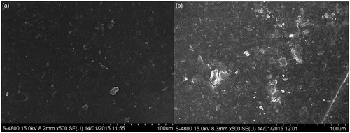 Figure 10. FESEM images of (a) Bare polymeric stent treated with platelets (b) Drug-loaded polymeric stent treated with platelets.