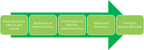 Figure 2. Typical processing steps for the commercial killing of farmed saltwater crocodiles.