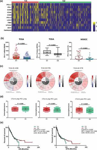 Figure 5. Association between the C1 and C2 groups for PD-L1 expression and IPS in patients withLUAD. a, Heatmap representation of differences in mRNA expression levels of immune inhibitory checkpoint related genes. b, Comparison of the mRNA or protein expression levels between the C1 and C2 groups from the TCGA and MSKCC cohorts. c, Different IPSs were calculated using immunophenograms in three patients from the TCGA cohort. d, IPS comparison between C1 and C2 groups in LUAD patients in the CTLA4 negative/positive or PD-1 negative/positive groups. CTLA4_positive or PD1_positive represented anti-CTLA4 or anti-PD-1/PD-L1 therapy, respectively. e, Kaplan-Meier survival curves of OS and DFS comparing the C1 and C2 groups in LUAD patients from TCGA. Abbreviations: TCGA, The Cancer Genome Atlas; MSKCC, Memorial Sloan Kettering Cancer Center; IPS, immunophenoscore; CTLA4, cytotoxic T-lymphocyte-associated protein 4; PD-1, programmed death receptor 1; OS, overall survival; DFS, disease-free survival; LUAD, lung adenocarcinoma