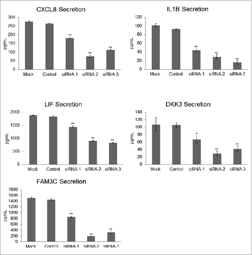 Figure 5. Measurement of candidate autophagy biomarkers in a high-autophagy melanoma cell line with siRNA-induced ATG7 silencing. Levels of CXCL8, IL1B, LIF, DKK3, and FAM3C were measured by sandwich ELISA in the conditioned media of control- and mock-transfected WM1346 high-autophagy melanoma cells vs. ATG7-silenced cells 96 h post-transfection (72 h to allow for sufficient transfection followed by a media change and another 24-h incubation to collect conditioned medium for biomarker evaluation). Error bars denote SD, and P values were calculated by ANOVA (*P < 0.05, **P < 0.01).