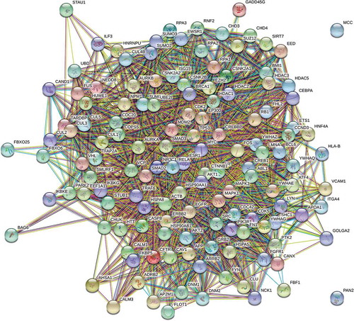 Figure 2. Interaction network of 135 lipodystrhophic-differentially expressed genes, prioritized by degree-centrality, and bottle-neck centrality
