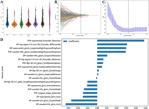 Figure 2 The distribution plot of retained radiomics signatures after Spearman rank correlation (A). Using the LASSO method with tenfold cross-validation based on the minimum binomial deviation, the most valuable signatures with nonzero coefficients were identified (B). At lambda (λ) = 0.0391, eighteen signatures identified by mRMR method were demonstrated (C). The weighted importance of the selected eighteen signatures (D).