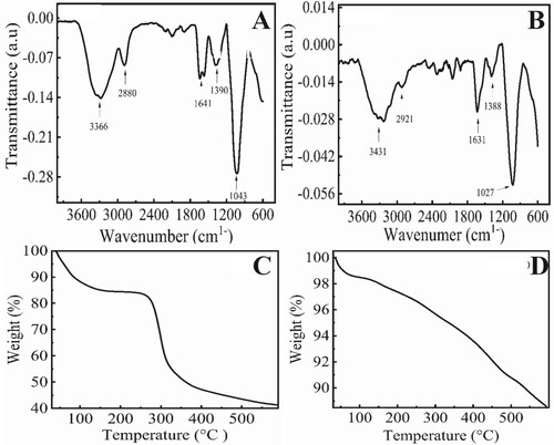 Figure 1. FTIR spectra and thermogravimetric analysis of (A,C) chitosan membrane (B,D) magnetic chitosan membrane.