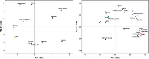 Figure 4. Loading plot and score plot after principal component analysis of the variables and individuals in the plane by two first principal components ((PC1 and PC2) with atotal variance of 56.14%). Each group was presented in different colors