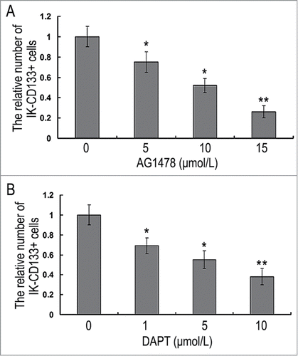 Figure 4. The proliferation ability inhibition in IK-CD133+ cells with different concentrations of AG1478 (A) and DAPT (B). * P < 0.05, ** P < 0.01.