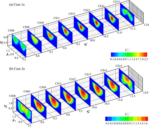 Figure 4. Time-averaged flow velocity contours at eight different cross-sections in the confluence-bifurcation unit: (a) case 1a, (b) case 2a.