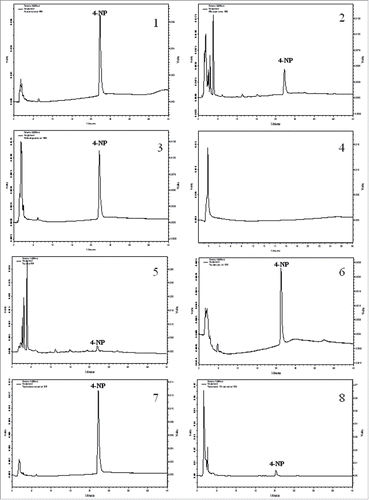 Figure 3. Representative HPLC chromatograms showing 4-NP elution peaks in different water samples. 1-Ganga river at Dhashaswamedh ghat, 2-Varuna river at Chowka ghat, 3-Varuna river at Dhobi ghat, 4-Distilled water, 5-tap water, 6-tap water + standard, 7-4-NP treated water with fish (ohr), 8-4-NP treated water with fish (after 10hr). In Y axis scales are not the same.