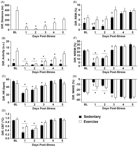 Figure 7. Data are graphed as diurnal differences in order to identify whether exercise attenuated the stress-induced flattening of diurnal physiological rhythms and sleep/wake behavior. (A) Stress exposure reduced nightly wheel running for post-stress days 1–4, but returned to pre-stress levels by post-stress day 5. (B) Stress exposure significantly flattened the diurnal rhythms of locomotor activity in both groups for post-stress days 1–3, but this effect lasted until post-stress day 4 in the exercise group. Both groups regained their pre-stress diurnal differences in locomotor activity by post-stress day 5 and the diurnal difference in locomotor activity between the exercise and sedentary groups was again evident at this time. (C) Stress exposure flattened the diurnal rhythms of heart rate in both groups for post-stress day 1, but this effect lasted until post-stress day 3 in the sedentary group. (D) Stress exposure flattened the diurnal rhythms in CBT in both groups until post-stress day 2, but this effect lasted until post-stress day 3 in the sedentary groups. Exercise attenuated the impact of stress on flattening of the diurnal rhythm of CBT on post-stress day 1 only, when compared with sedentary rats. (E) Stress exposure flattened the diurnal rhythm of REM sleep in sedentary rats only on post-stress day 1, but exercise reduced the stress-induced flattening of the diurnal rhythm in REM sleep. The differences in the diurnal rhythm of REM sleep between exercise and sedentary groups were evident both before stress and until post-stress day 3. (F) Stress exposure flattened the diurnal rhythms of NREM sleep in both groups until post-stress day 2. Exercise attenuated the impact of stress on the flattening of the diurnal rhythm of NREM sleep on post-stress day 1 only, when compared with sedentary rats. Although the effects of stress on flattening the diurnal rhythm of NREM sleep had dissipated in both groups by post-stress day 3, exercising rats had a greater diurnal rhythm in NREM sleep when compared to sedentary rats on post-stress day 3. (G) Consistent with the sleep data, stress exposure flattened the diurnal rhythm of WAKE until post-stress day 2. Exercise also reduced the impact of stress on flattening the diurnal rhythm of WAKE on post-stress day 1 only, when compared with the sedentary group. Abbreviations are as follows: a.u.: arbitrary units; BL: pre-stress baseline; bpm: beats per minute; °C: degrees Celsius; Diff.: diurnal difference; m: meters. (*p < 0.05 effect of stress compared with baseline values; †p < 0.05 exercise compared with sedentary).