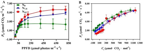 Figure 4. The response of net photosynthetic rate (Pn) to nitrogen regimes. (A) Response of Pn to photosynthetic photon flux density (PPFD) in P. notoginseng grown under different N levels; (B) The change of Pn with intercellular CO2 concentration (Ci) in P. notoginseng grown under different nitrogen levels. Green represents N0, bule represents N7.5, red represents N15. Values for each point were means ± SD (n = 3).