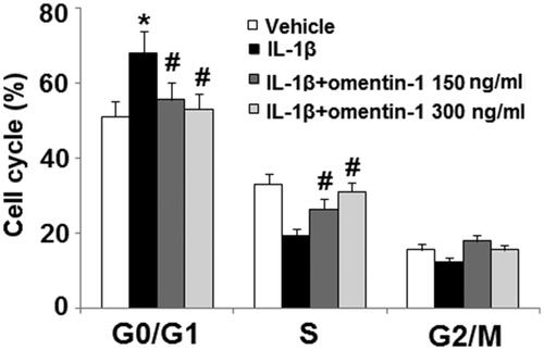 Figure 2. Omentin-1 rescued IL-1β- induced cell cycle arrest in the G1 phase. Cells were stimulated with IL-1β (10 ng/mL) with or without omentin-1 (150,300 ng/mL) for 24 h. Cell cycle was analysed by FACS (*, #, $p < .01 vs. previous group, n = 5–6).