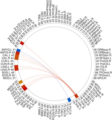 Figure 2 ORI-to-ORI FC z-score showing significant group difference between PSPD patients and HC. The number and abbreviation outside the circle stand for the 90 AAL cerebrum regions. The red line stands for increased FC and the blue line stands for decreased FC in PSPD patients compared to HCs.