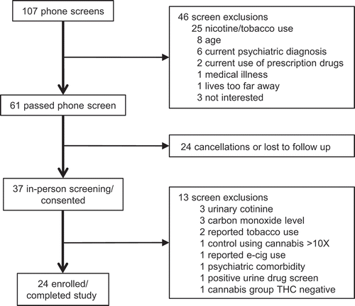 Figure 1. Study procedures for screening and consent. Twenty-four men, including 12 cannabis users and 12 non-users, were enrolled and participated in the study.