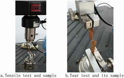 Figure 5. Tensile and tear test with their samples.
