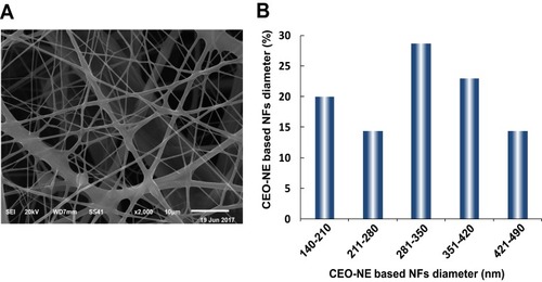 Figure 7 SEM image (A) and diameter distribution histogram (B) of CEO-NE-based NFs.Abbreviations: CEO, clove essential oil; NE; nanoemulsion; NFs, nanofibers; SEM, scanning electron microscopy.