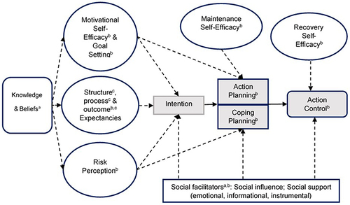 Figure 1 Theory-driven frame of analysis.