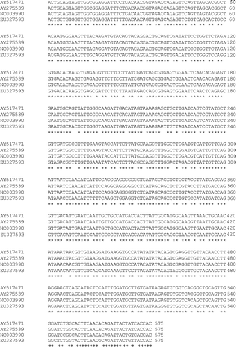 Figure 2.  Nucleotide sequence multiple alignment of the 575 bp amplicons within the VP2 gene of AEV. *Sequence of complete identity. The multiple alignment was generated using the ClustalW2 program available from the European Bioinformatics Institute (http://www.ebi.ac.uk/Tools/clustalw2/index.html; Larkin et al., Citation2007).