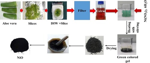 Figure 1. Green synthesis of NiOx and collection of Aloe-Vera water extract (AE).