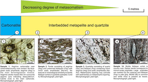 Figure 12. Variation in intensity of fenitisation-type metasomatism perpendicular to the strike of a 30 m thick carbonatite lens. Intensity of metasomatism decreases with increasing distance from calcite carbonatite contact, as recorded by disappearance of aegirine and Na-amphibole over the distance of approximately 25 m. Lonnie carbonatite, British Columbia, Canada.