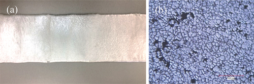 Figure 10. (a) Photograph showing horizontal streaks on the edges and (b) optical micrograph at 50× magnification of AA2024 alloy strip obtained via pilot-scale horizontal single belt casting (reprinted with permission from Lee et al., Citation2018)