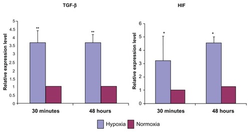 Figure 5 Relative mRNA expression level of TGF-β and HIF in podocytes after 30 minutes and 48 hours of hypoxia.