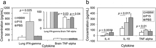 Figure 6. Cytokine production after intratracheal (a) and intravenous (b) infection with C. neoformans. (a) IFN-γ production in lungs of mice and TNF-α production in the brain of mice. Mice infected intratracheally with strain P15 show increased production of IFN-γ in the lungs, but decreased production of TNF-α in the brain compared to mice infected with the pre-passage strain H99W or PBS. White bars represent mice infected with H99W, light gray bars represent mice infected with strain P15, and dark gray bars represent mice infected with PBS. Error bars represent the standard error of the mean. Six mice were infected for each group. Significance was tested using a Wilcoxon Rank Sums test and ANOVA, respectively. (b) Mice infected intravenously with strain P15 show increased production of IL-4, IL-10, and TNF-α in the brain compared to mice infected with the pre-passage strain H99W. White bars represent mice infected with H99W, light gray bars represent mice infected with strain P15, and dark gray bars represent mice infected with PBS. Error bars represent the standard deviation of the mean. Six mice were infected for each group. Significance was tested using a Wilcoxon Rank Sums test