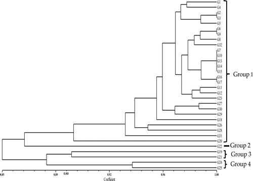 Figure 3. Dendogram resulting from UPGMA cluster analysis of 32 rice accessions, based on genetic relationships generated by 34 SSR markers. Note: G1 = MR219, G2 = MR263, G3 = DL11, G4 = DL12, G5 = Ceylon8, G6 = Ceylon31, G7 = CTG680, G8 = Hitam, G9 = H10, G10 = Panbira, G11 = Taitong16, G12 = Hashikalmi, G13 = DV 107, G14 = DV112, G15 = DZ193, G16 = DNJ128, G17 = DNJ 129, G18 = Padi Beranti, G19 = Padi Randau, G20 = Tahi Ayam, G21 = Tidong Tambunan, G22 = Pulut Merah 3, G23 = Dular (CI-18006), G24 = Tomoemochi, G25 = Dendam Berahi, G26 = Kataktara, G27 = Ringan Bawang, G28 = Samambo, G29 = Pulut A, G30 = YTM15.G31 = MRQ76, G32 = MRQ74.