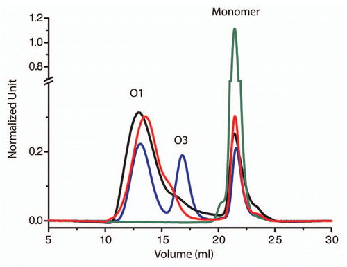 Figure 1 pH effect on the oligomerization pattern of V136 R154 Q171 (sheep numbering) PrP sheep variant from size-exclusion chromatography (after heating for 30 min 80 µM of protein at 50°C), following the methods already described in reference Citation11. At pH below 3.5 (blue line) the amount of O3 oligomers increases whereas at pH 4.1 (black line) and 7.15 (red line) the O1 oligomers are the most representative object. At pH 4.5 (green line) no oligomers were detected.