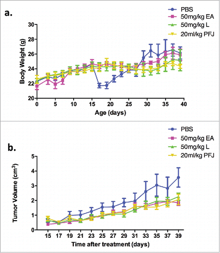 Figure 7. Tumor growth and body weight changes as time during EA, L and PFJ treatments after the tumor mass could be touched. Treated three compounds with bearing ovarian cancer nude mice to clarify the in-vivo effect of them. In the everlasting 40 days, nude mice were treated with PBS, 50 mg/kg EA, 50 mg/kg L and 20 mL/kg PFJ as experimental design. Body weight and tumor volume were started to measure after the tumor mass could be touched. At 15th-19th (Fig. 7a), due to the surrounding was worse, the body weight of PBS group was drop drastically before the living environment was improved, subsequently, the body weight of PBS group was recovered and performed as our result shown. All groups were stably increased during the 40 days. Tumor volume were measured once every two days and the tumor sizes were calculated according to the formula V = 0.5 ab.Citation2 As shown by the tumor volume curve (Fig. 7b), the tumor volumes were increasing slowly in these three compound groups compared with PBS.
