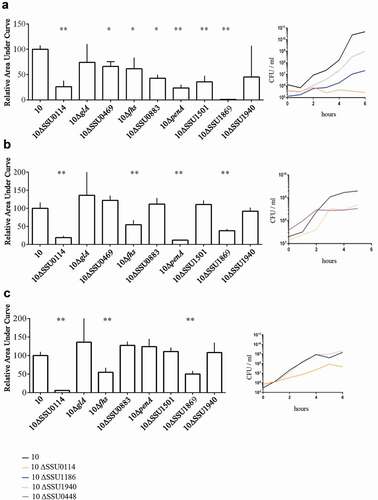 Figure 3. Survival of S. suis strain 10 and derivative mutants in ex vivo (a) porcine blood, (b) porcine serum, and (c) porcine CSF. Bacteria were cultured in THB medium, diluted, and then incubated in the different body fluids. The number of bacteria was determined by CFU counting at time 0 and every 2 h over a time course of 6 h. Data are expressed as the total area under the curve obtained in three independent experiments and relative to that of the wild type (left) representative growth curves for selected strains are shown (right). One or two asterisks indicate statistically significant differences compared to the wild type at P < 0.05 and P < 0.001, respectively.