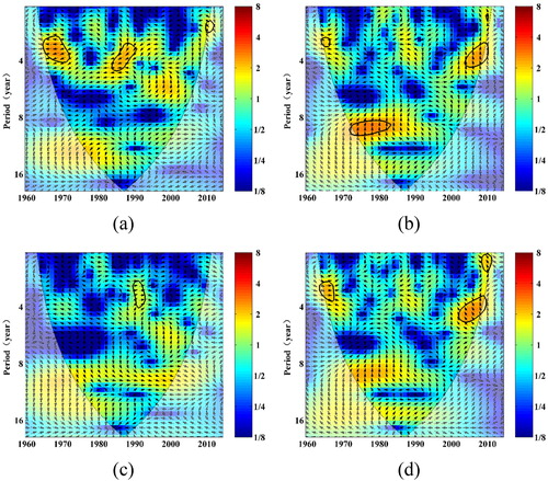 Figure 5. Cross wavelet transformation of SPEI and large-scale climatic factors from 1961 to 2015: (a) ENSO, (b) NAO, (c) PDO, (d) AO.