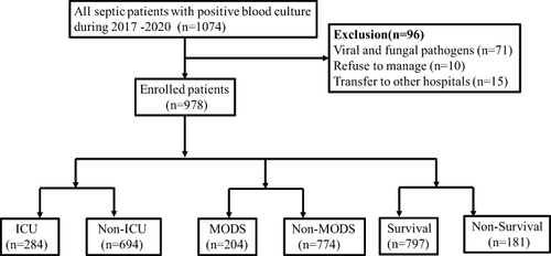 Figure 1 Flowchart of the study population.