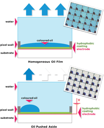 Figure 1. Electrowetting display principle: (a) pixel in off-state and (b) pixel in on-state.