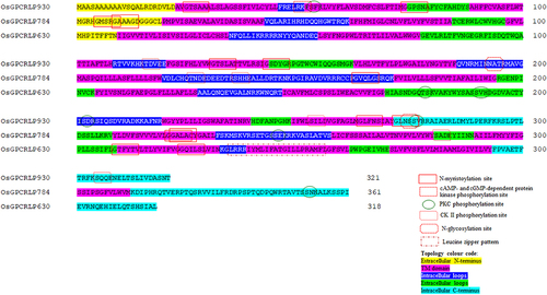 Figure 4. Biologically significant sites in high-ranked OsGPCRLPs analyzed on PROSITE.