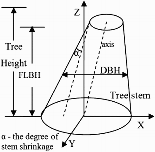 Figure 2. Schematic diagram of defining the proposed SSVs: DBH, FLBH, SS and TH (the two dotted lines are parallel).