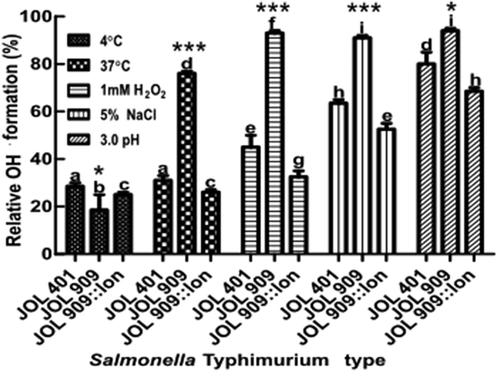 Figure 3. Endogenous Hydroxyl radical (OH·) formation during stress treatments in the lon mutant.