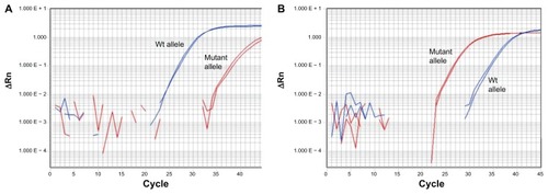 Figure 2 SYBR Green mismatch amplification mutation assay interrogation of the proline to serine at position 167 (P167S) PenA mutation, conferred by a cytosine/thymine nucleotide transition in penA at position 517 (according to penA annotation in Burkholderia pseudomallei K96243;Citation22 see Figure 1) in patient 45 B. pseudomallei isolates. (A) Example amplification of the wild-type P167S penA allele. (B) Example amplification of the mutated P167S penA allele. All mutant P167S B. pseudomallei strains from patient 45 contained an elevated ceftazidime minimum inhibitory concentration of 64 μg/mL compared with the wild-type strains (2 μg/mL).Abbreviation: Wt, wild-type.