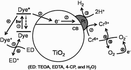 Figure 21. Schematic of the visible-light induced H2 evolution and pollutant oxidation on organic dye-sensitized TiO2 in water. (1) Photo-excitation and relaxation of organic dye, (2) electrons injection to the conduction band of TiO2 (or Pt/TiO2), (3) H2 production, (4) oxidation of dye, (5) regeneration of dye, (6) oxidation of the electron donors (ED), (7) and (9): reduction of Cr(VI) to Cr(III), (8): reduction of the dissolved O2 to superoxide anion, (10) oxidation of the superoxide anion. Adapted from reference ( Citation69) with permission. Copyright 2012, Elsevier Ltd.