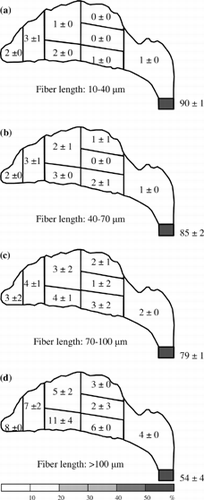 Figure 5 Fiber deposition map for an inspiratory flow rate of 7.5 l/min. Deposition fractions for each region and subregion are shown in percent (0 represents the value of the fraction < 0.5%).