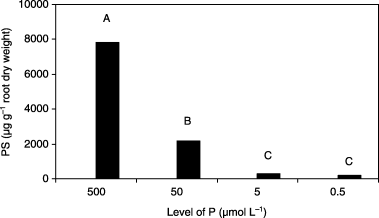 Figure 4  Phytosiderophore (PS) accumulation in roots of barley plants grown in iron-deficient nutrient solutions with different levels of phosphorus (P) at 14 days after treatment. Different letters at the top of each bar indicate significant differences (P < 0.05) according to the Ryan–Einot–Gabriel–Welsch Mutiple Range Test.