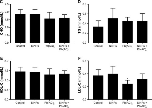 Figure 4 The blood biochemistry examination.Notes: (A, B) ALT and AST. #P<0.05 when comparing co-exposure group with SiNPs group in ALT (5A). (C–F) Serum lipid levels. Data are expressed as mean ± SD from six independent experiments. *P<0.05 compared with untreated control, #P<0.05 compared with individual toxicant alone treated group.Abbreviations: HDL-C, high-density lipoprotein-cholesterol; LDL-C, low-density lipoprotein-cholesterol; Pb(AC)2, lead acetate; SiNPs, silica nanoparticles; ALT, glutamic-pyruvic transaminase; AST, aspartate transaminase; CHO, total cholesterol determination; TG, triglyceride.