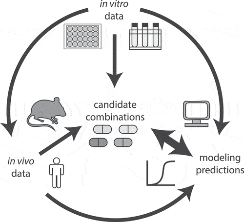 Figure 3. Diagram of data flow for development of treatment improving candidate drug combinations. In vitro data of drug and combination effects can be directly used to inform candidate drug combination choice or can be used as input to design in vivo experiments and modeling efforts to predict optimal candidate combinations. Likewise, in vivo drug combination data (e.g. from preclinical animal models and human PK/PD studies) can be used directly to inform candidate combination choice or as input for modeling. Computational modeling that integrates multiple data sources, including effective in vitro combinations, drug tissue PK/PD, and preclinical drug combination efficacy can be leveraged to select candidate combination choice; as more combination data become available, the models can be refined and improved.
