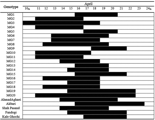 Figure 3. Flowering period of male genotypes with commercial pistachio cultivars