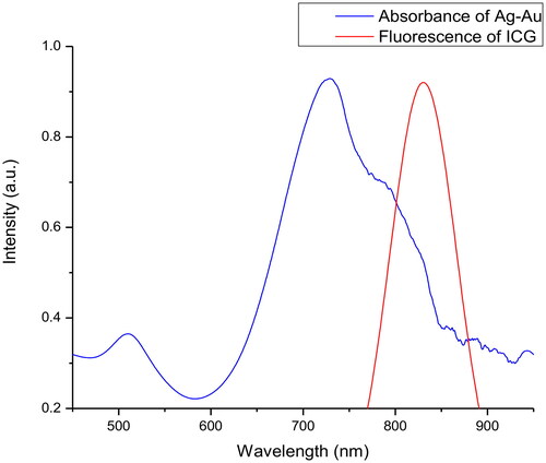 Figure 1. Representative normalised absorbance of free Ag-Au and normalised fluorescence of free ICG in deionised water.