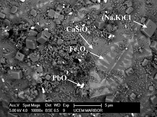 Figure 1. Backscattered electron image of the surface of a fly ash particle.